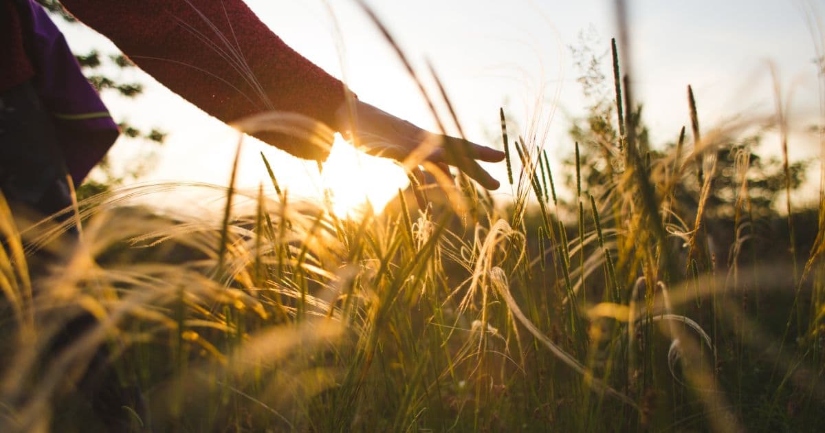 Where to Find Ketamine Infusion Therapy Near Me