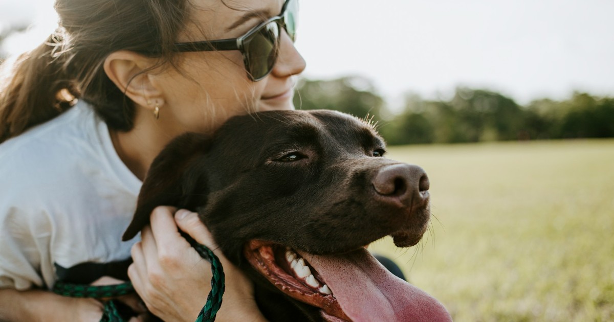 pet therapy how animals contribute to anxiety treatment in therapeutic settings Omaha, NE